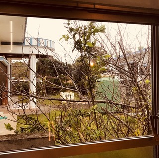 ファイル 2018-02-03 11 40 17.jpeg