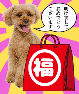 愛犬用福袋@